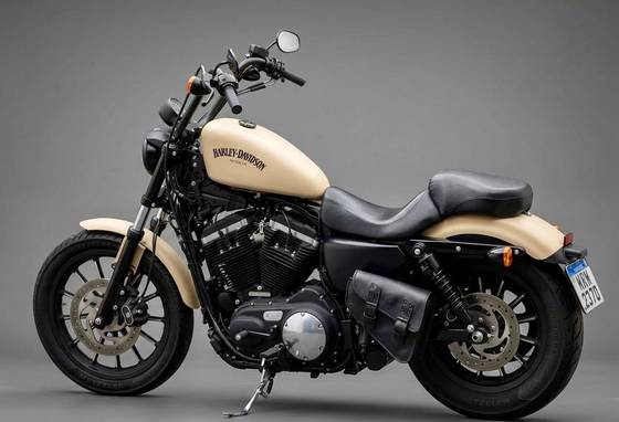 HARLEY-DAVIDSON SPORTSTER IRON 883 
